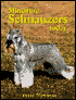 Miniature Schnauzers Today