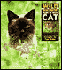 Wild Discovery Guide to Your Cat: Understanding and Caring for the Tiger Within