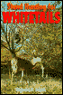Stand Hunting for Whitetails