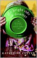 The Bright Side of Disaster: A Novel