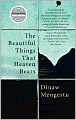 The Beautiful Things That Heaven Bears