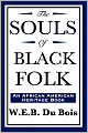 The Souls of Black Folk (An African American Heritage Book)