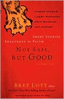Not Safe, but Good: Short Stories Sharpened by Faith, Volume 1