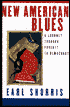 New American Blues: A Journey through Poverty to Democracy