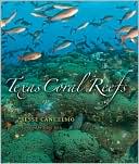Texas Coral Reefs