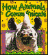 How Animals Communicate