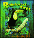 Rainforest Birds