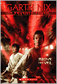 Above the Veil (Seventh Tower Series #4)