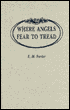 Where Angels Fear to Tread