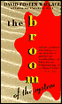 The Broom of the System