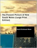 The Present Picture Of New South Wales (Large Print Edition)