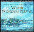 Where Wonders Prevail: True Accounts That Bear Witness to the Existence of Heaven