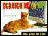 Scratching the 'Net: Web Sites for Cats