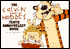 The Calvin and Hobbes Tenth Anniversary Book