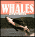 Whale Magic for Kids