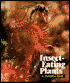 Insect-Eating Plants