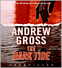 The Dark Tide (Ty Hauck Series #1)