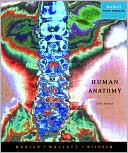 Human Anatomy