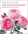 The English Roses: Classic Favorites and New Selections