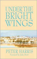 Under The Bright Wings