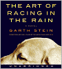 The Art of Racing in the Rain