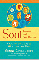 Soul Lessons and Soul Purpose: A Channeled Guide to Why You Are Here