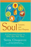Soul Lessons and Soul Purpose: A Channeled Guide to Why You Are Here