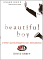 Beautiful Boy: A Father's Journey through His Son's Addiction