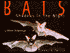 Bats: Shadows in the Night