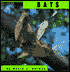 Bats