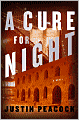 A Cure for Night