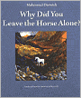 Why Did You Leave the Horse Alone?
