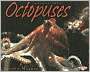 Octopuses