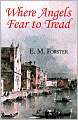 Where Angels Fear to Tread