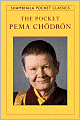 Pocket Pema Chodron