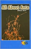All about Ants