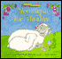 Morning in the Meadow: A Pat-and-Peek Book