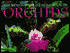 The World Wildlife Fund Book of Orchids