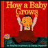 How a Baby Grows