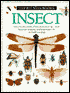 Insect