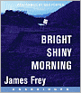 Bright Shiny Morning