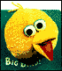 Big Bird! (Furry Faces)