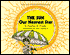 The Sun: Our Nearest Star