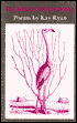 Flamingo Watching