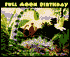 Full Moon Birthday