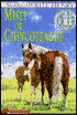 Misty of Chincoteague