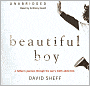 Beautiful Boy: A Father's Journey through His Son's Addiction