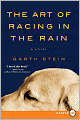 The Art of Racing in the Rain