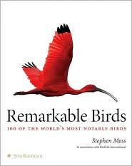 BARNES & NOBLE | Remarkable Birds by Steven Moss | Hardcover