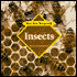 Insects
